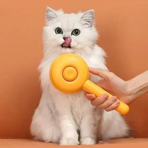 Brosse de nettoyage pour animaux