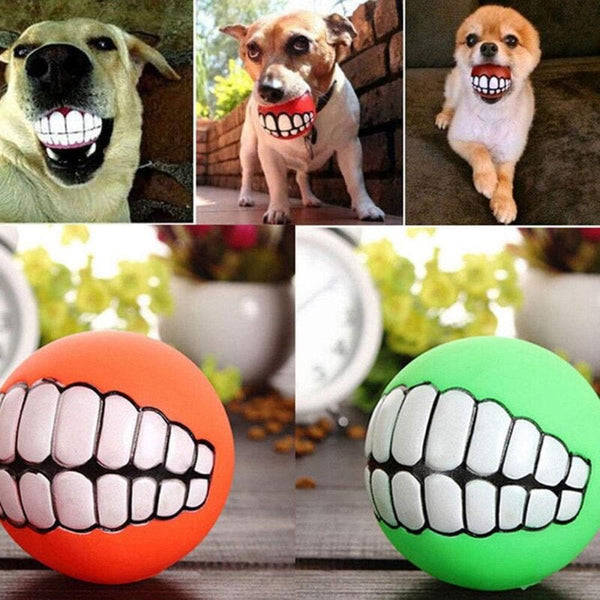 Balle pour Chien avec Dents – Joue, Mordille et Fait Rire ! | Couleur Aléatoire