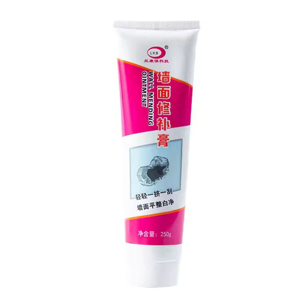 Pâte de Réparation Murale – Tube de 250g