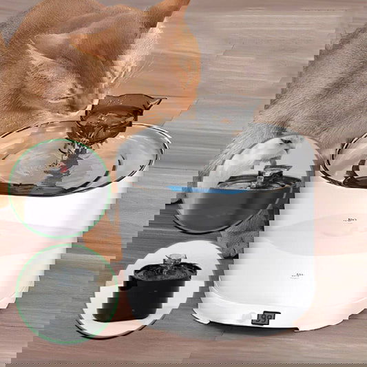 Fontaine à Eau pour Chat avec Détecteur de Mouvement – Hydratation Facile et Sûre